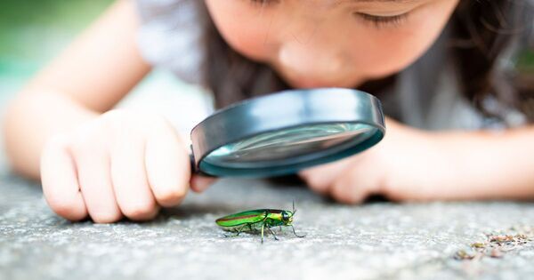 4/11 子どもの “生きる力” を育てる「おうち探究学習」のススメ