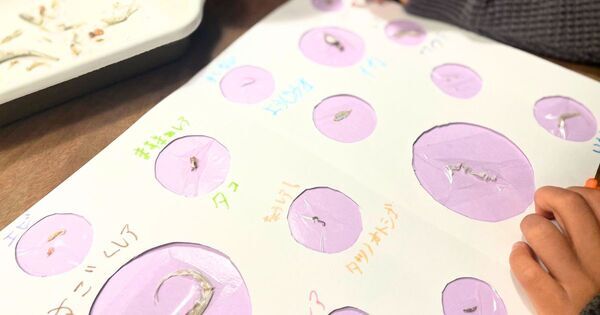 4/11 子どもの “生きる力” を育てる「おうち探究学習」のススメ