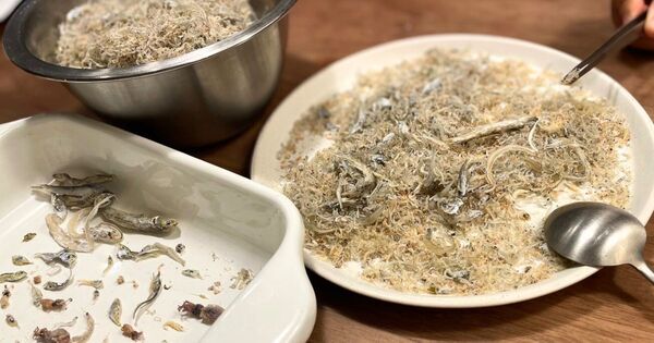 4/11 子どもの “生きる力” を育てる「おうち探究学習」のススメ