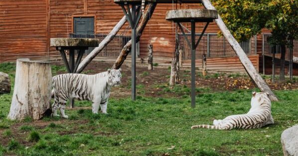 【2025年保存版】子どもが夢中になる！　全天候型おでかけスポット15選｜週末も連休も使える穴場ガイド