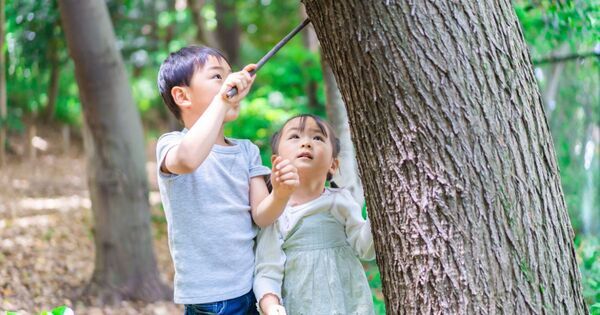 好奇心がある子・ない子の決定的違い｜専門家が教える育て方6選