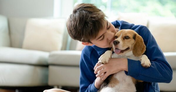 【INFJ】思いやり深くて感受性豊かな子ども！「こころの案内人さん」の性格や特徴、育て方は？｜MBTI性格タイプ