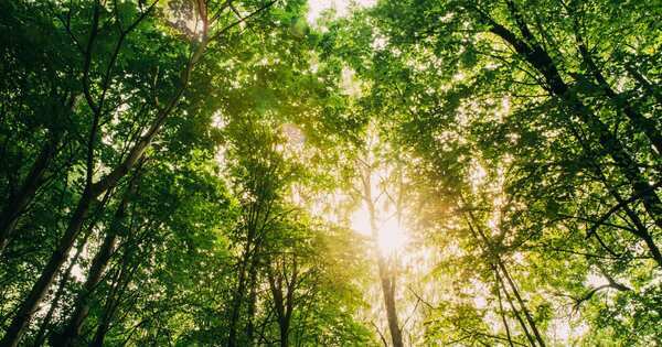 うちの子、優等生。でもそのうち “ポキっと” 折れるかもしれません――「頑張りすぎる子」に親ができること