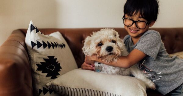 「この子がほしい！」でも「そんな簡単には飼えない……」毎回ペットショップで泣くわが子に、どう伝える？