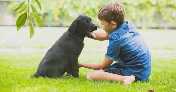 「この子がほしい！」でも「そんな簡単には飼えない……」毎回ペットショップで泣くわが子に、どう伝える？