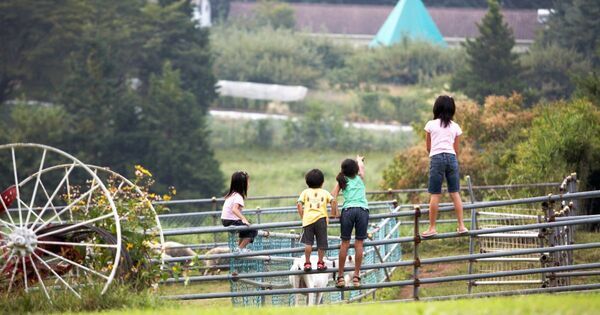 運動能力とともに「非認知能力」も高まる。運動習慣がない子は、将来メンタル不調におちいりやすい？