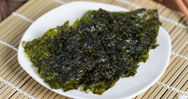 夏休みの自由研究シリーズ②！　毎日の食卓にある「食材」を研究テーマに—— 海苔プロジェクト【ワークシート無料ダウンロード】