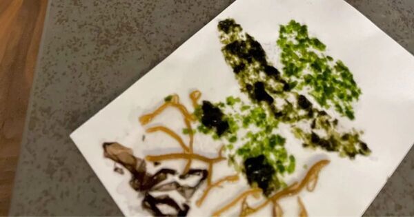 夏休みの自由研究シリーズ②！　毎日の食卓にある「食材」を研究テーマに—— 海苔プロジェクト【ワークシート無料ダウンロード】