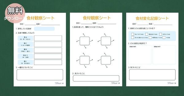 夏休みの自由研究シリーズ②！　毎日の食卓にある「食材」を研究テーマに—— 海苔プロジェクト【ワークシート無料ダウンロード】
