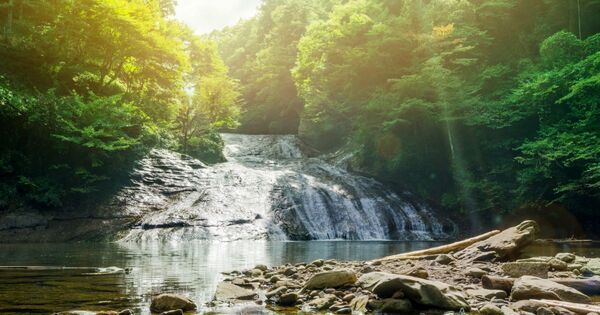 子どもが夢中になる！　親子で行きたい体験スポット20選【完全保存版】