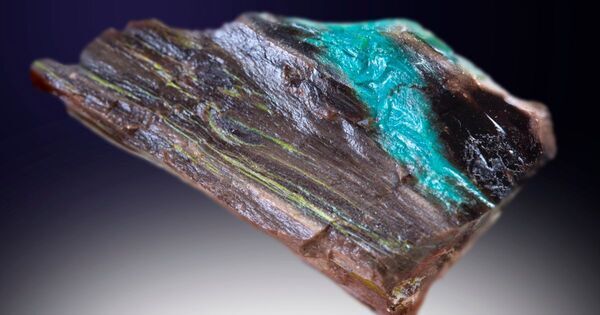 子どもが夢中になる！　親子で行きたい体験スポット20選【完全保存版】