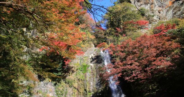 子どもが夢中になる！　親子で行きたい体験スポット20選【完全保存版】