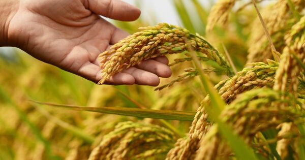 子どもが夢中になる！　親子で行きたい体験スポット20選【完全保存版】