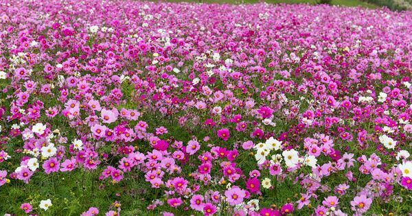 子どもが夢中になる！　親子で行きたい体験スポット20選【完全保存版】