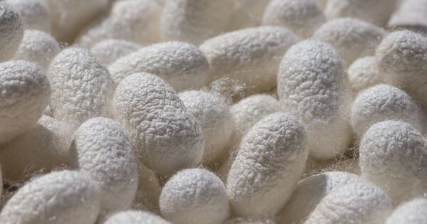 子どもが夢中になる！　親子で行きたい体験スポット20選【完全保存版】