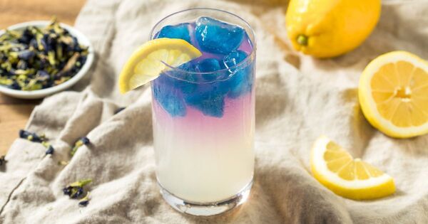 シュワシュワ・パチパチ！ 炭酸水（サイダー）をおうちで作ってみよう【自由研究】