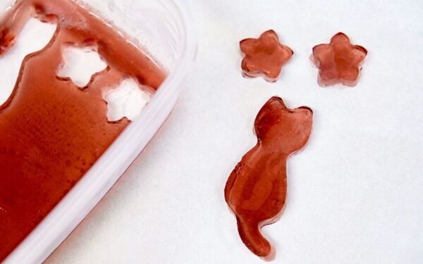 ぷにぷに・もちもち！ グミのふしぎと親子で簡単作り方レシピ【自由研究にも】