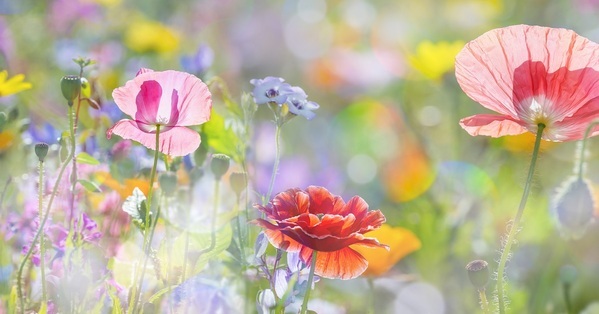 12歳まで子をもつ親が知っておくべき、子どもに関する「10の数字」