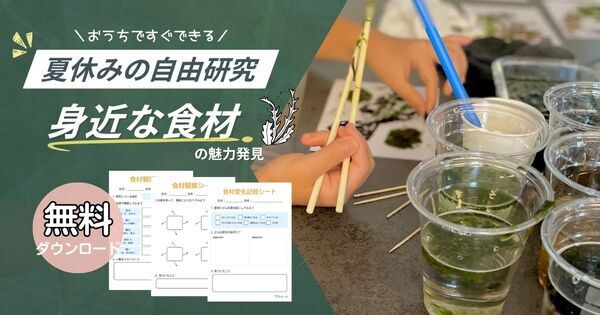 短期間でも充実！ 8/25からでもできる探究型「自由研究・自由工作」一覧｜小学生向け
