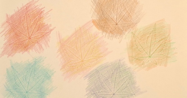 短期間でも充実！ 8/25からでもできる探究型「自由研究・自由工作」一覧｜小学生向け