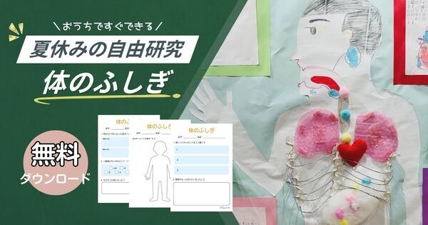 短期間でも充実！ 8/25からでもできる探究型「自由研究・自由工作」一覧｜小学生向け