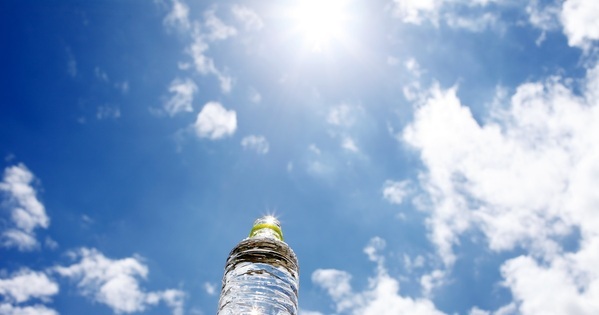 短期間でも充実！ 8/25からでもできる探究型「自由研究・自由工作」一覧｜小学生向け