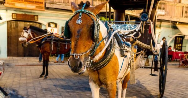 ワークライフバランスってなに？　議員には労働基準法がない！？【親子で学ぶ 政治の話】