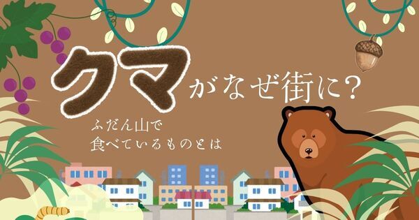 「山にいるはずのクマが、どうして街に？」「何を食べるの？」【親子で学ぶ 環境の話】