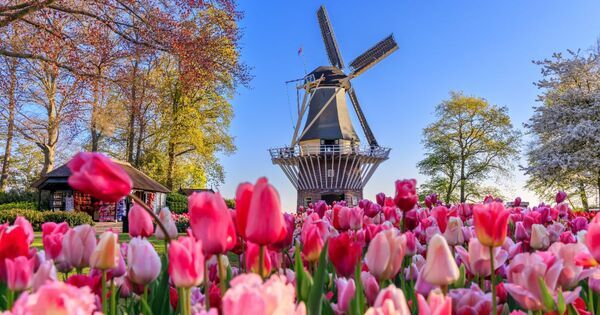 年収差240万円、起業率280倍の衝撃。教育移住が切り開く子どもの未来。「留学しない」がリスクになる？