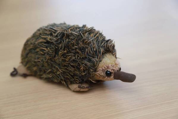 いますぐ言葉にしなくていい。親から伝えてほしい「待ってるよ」というメッセージ｜『なかなかいえない ウウントネ』著者・いげたゆかりさんインタビュー