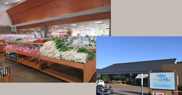 【2026年版】子連れで1日遊べる関東の道の駅15選｜雨の日OK・遊具・温泉も