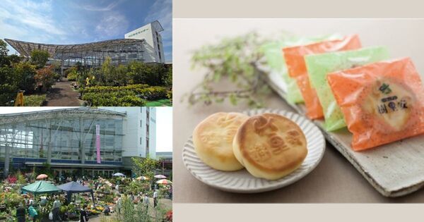 【2026年版】子連れで1日遊べる関東の道の駅15選｜雨の日OK・遊具・温泉も