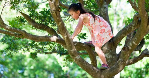高さの感覚は5歳までに80％育つ。公園で「ダメ」を言いすぎていませんか？