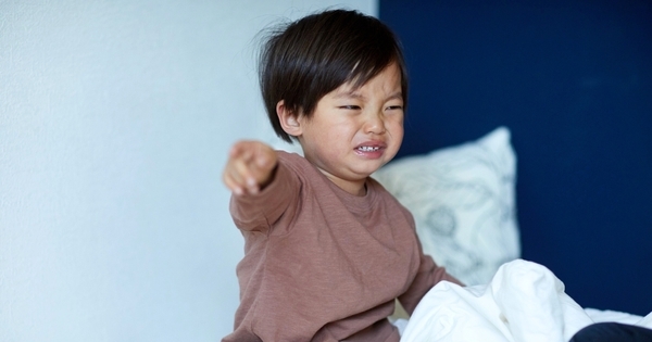 「自分で選んだのに文句を言う」——選択と責任の関係を理解するのは何歳から？