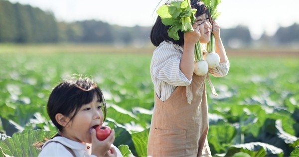 「食べなさい」を「どっちが甘い？」に変えるだけ。苦手を”問い”にする偏食対策