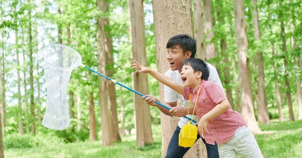 夏休み、どこ行く？子どもの体験が増える近場スポットの探し方