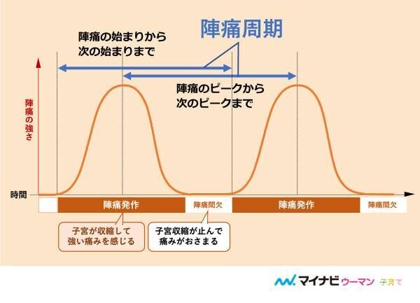 医師監修 産科で 子宮口 3センチ と言われたら お産は近い 年6月26日 ウーマンエキサイト 3 4