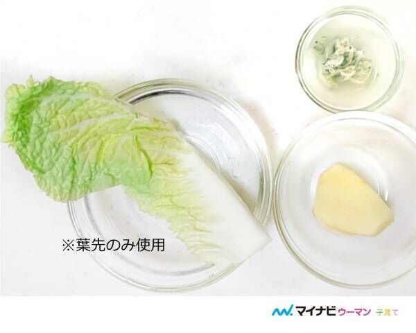 離乳食の白菜はいつから 初期 中期 後期レシピ 管理栄養士監修 年8月31日 ウーマンエキサイト 2 3