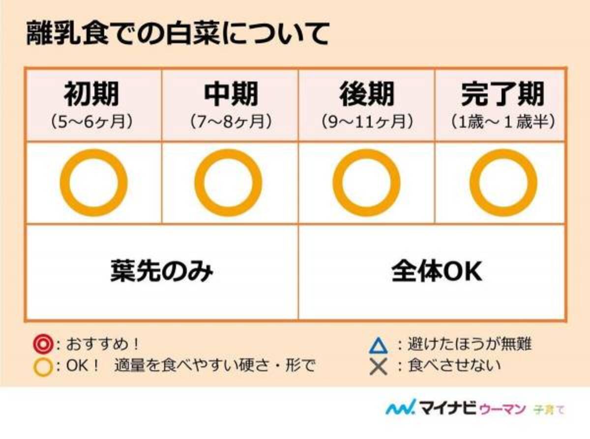 離乳食の白菜はいつから 初期 中期 後期レシピ 管理栄養士監修 年8月31日 ウーマンエキサイト 1 3