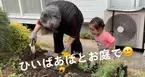 ひいばあば＆ひ孫ちゃんコンビが、お庭で仲良くお花を植える姿が尊すぎる……！