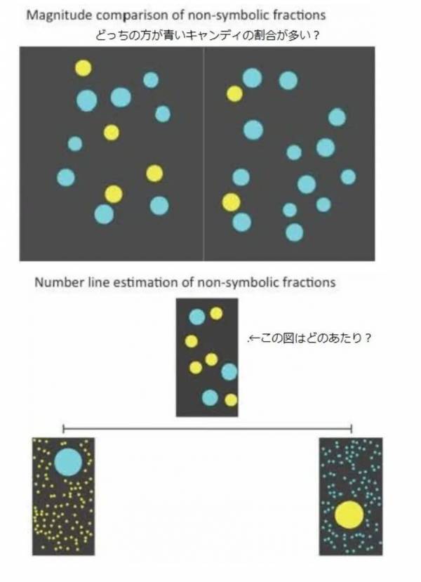 【中学受験算数】「解の公式」を覚えても意味がない？ 難関校に合格する子が持つ“空間認識力”の鍛え方