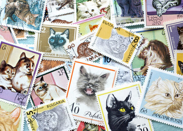 首相、首相って言われるけど…実は略語なんです。正式名称は？