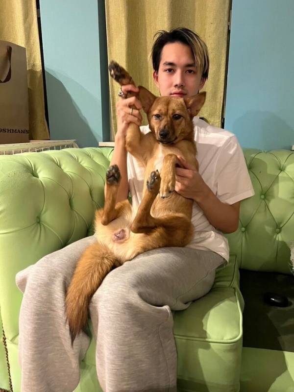 土屋アンナさん「猫6匹・保護犬3匹・子ども4人」の大家族暮らしを語る。瀕死の保護犬、どれだけ噛まれても「私はあなたを傷つけない」