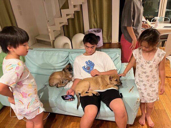 土屋アンナさん「猫6匹・保護犬3匹・子ども4人」の大家族暮らしを語る。瀕死の保護犬、どれだけ噛まれても「私はあなたを傷つけない」