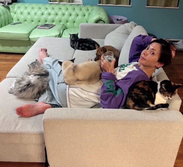 土屋アンナさん「猫6匹・保護犬3匹・子ども4人」の大家族暮らしを語る。瀕死の保護犬、どれだけ噛まれても「私はあなたを傷つけない」