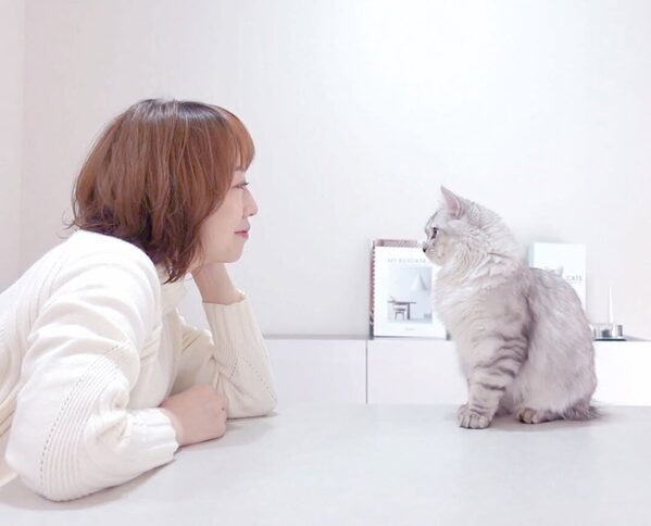 「不妊治療は45歳までにしよう」執着を手放せたとき、44歳で三度目の妊娠判定。YouTuberあいりさんがママになるまで