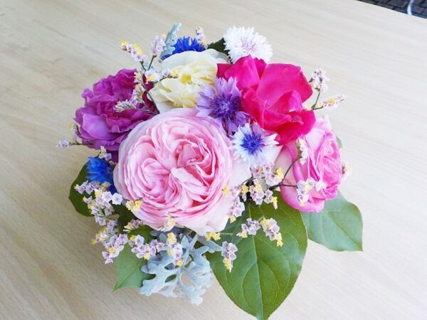 【入園無料】まもなく見頃！ 約80種150株の“春バラ”が咲き誇る。横浜市港南区で「手づくりバラ園フェスティバル」開催