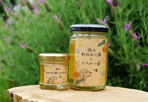 【入園無料】まもなく見頃！ 約80種150株の“春バラ”が咲き誇る。横浜市港南区で「手づくりバラ園フェスティバル」開催