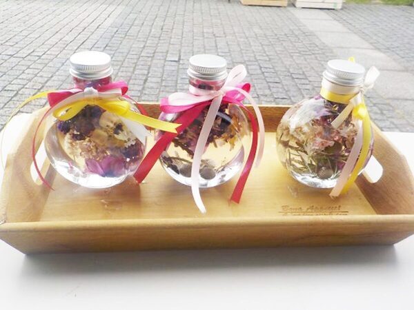 【入園無料】まもなく見頃！ 約80種150株の“春バラ”が咲き誇る。横浜市港南区で「手づくりバラ園フェスティバル」開催