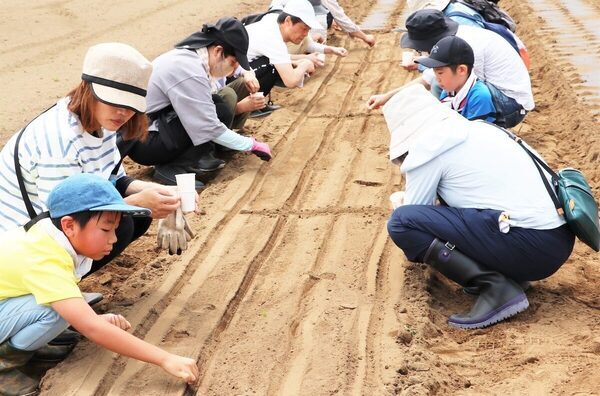 恒例の人気企画！【夏の枝豆収穫を目指す！】群馬県伊勢崎市「みんなの畑」で家族で農業体験、4/26（土）開催
